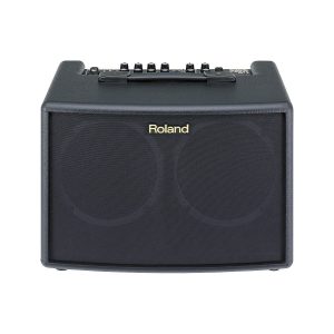 Roland AC-60 - 30W 2x6.5" Stereo AcousticAmp